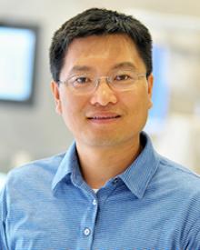 Rui Chen, Ph.D.