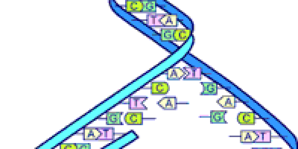 image: DNA split